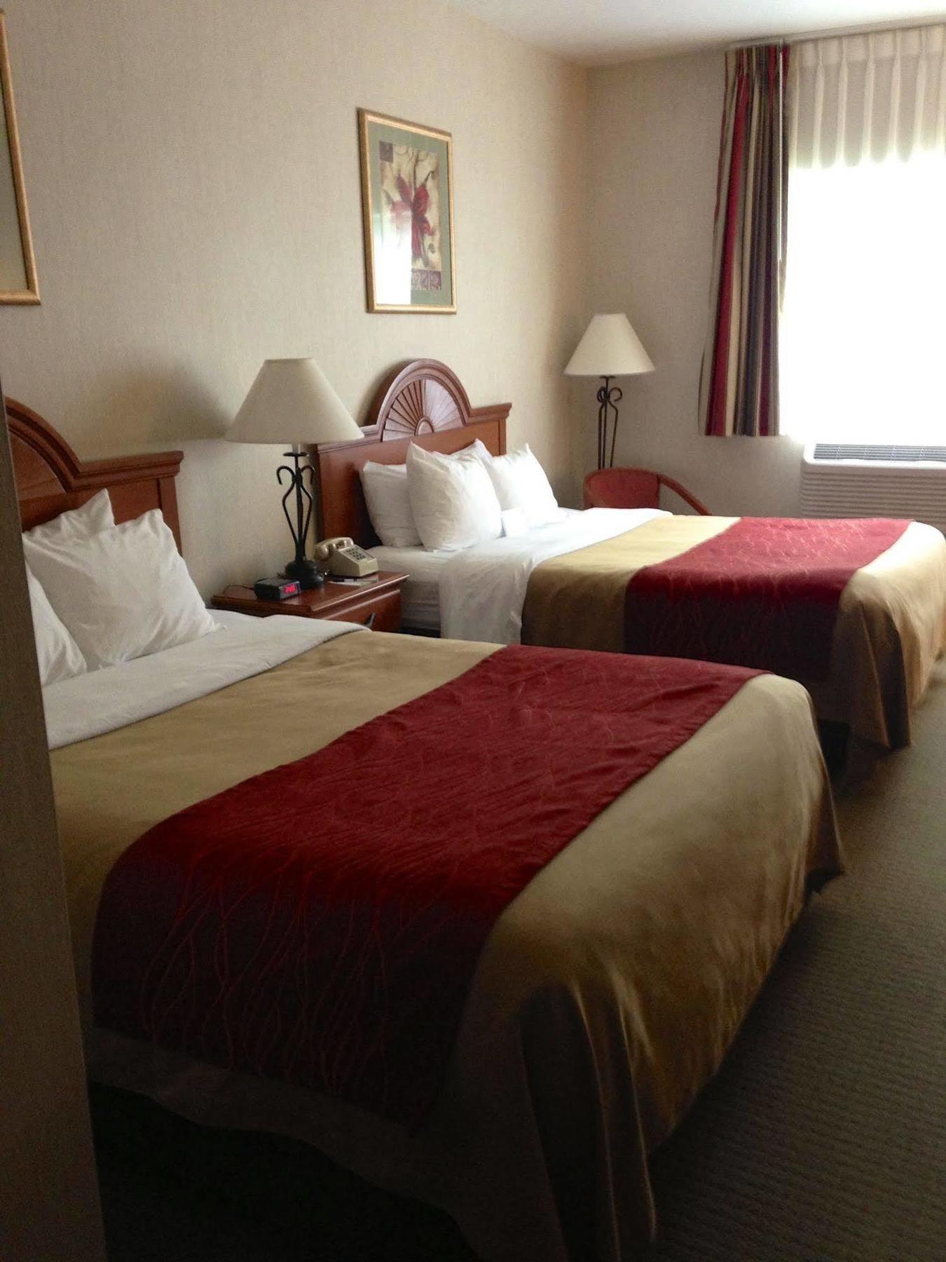 Comfort Inn Ellsworth - Bar Harbor Exterior foto